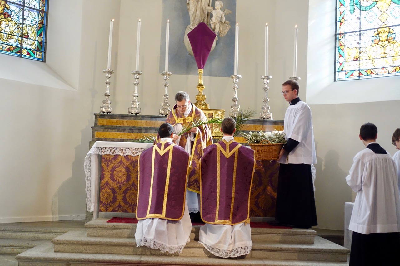 Holy Week In Rome catholicism - How do the 1962 Holy Week ceremonies compare to the 1954 ...